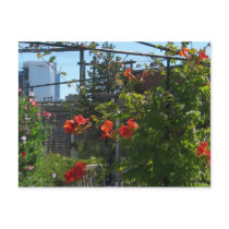 August Garden Postcard