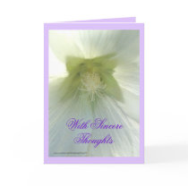 Aunt Darl's wh Hollyhock- any occasion