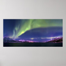 Aurora Borealis above Lyngenfjorden Norway Poster
