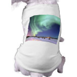 Aurora Borealis Pet Shirt