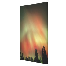 Aurora Borealis, Northern Lights, Fairbanks Canvas Print