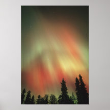 Aurora Borealis, Northern Lights, Fairbanks Poster