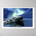 AURORA DREAMING Art Poster posters