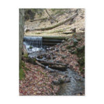AuSable Spring postcard