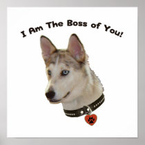 Ausky Dog Boss of You Posters