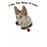 Ausky Dog Boss of You t-shirts