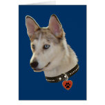 Ausky Dog Pawprint Heart Cards