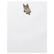 Ausky Dog Pawprint Heart Flyer Design