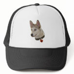 Ausky Dog Pawprint Heart Hats
