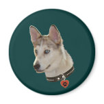 Ausky Dog Pawprint Heart Refrigerator Magnets