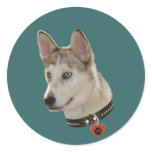 Ausky Dog Pawprint Heart Stickers