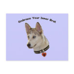 Ausky Inner Brat Dog Postcard