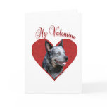 Aussie Cattle Dog My Valentine Greeting Cards