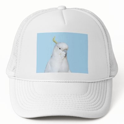 Aussie Cockatoo Cap Mesh Hats by PhotoPixie