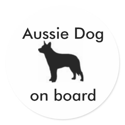 Aussie Dog on board by Blueglass74