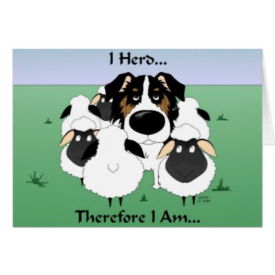 Aussie - I Herd Therefore I Am by NothinButtDogs