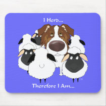 Aussie - I Herd Therefore I Am