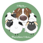 Aussie - I Herd Therefore I Am