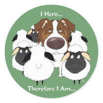 Aussie - I Herd Therefore I Am
