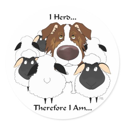 Aussie - I Herd Therefore I Am by NothinButtDogs