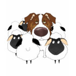 Aussie - I Herd Therefore I Am t-shirts