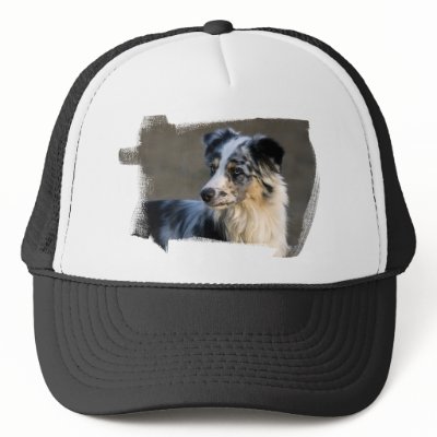 Aussie Looking Left Hat by buffaloworks