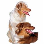 aussie photo cutouts