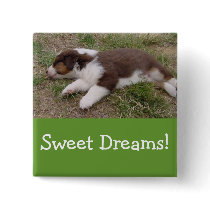 aussie puppy sleeping