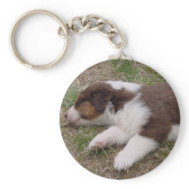 aussie puppy sleeping keychains