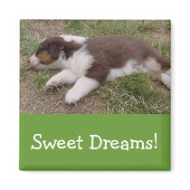 aussie puppy sleeping fridge magnet