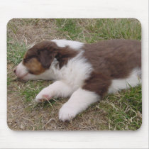 aussie puppy sleeping mousepads