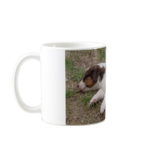 aussie puppy sleeping coffee mugs