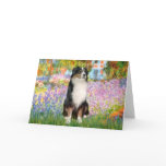 Aussie Shep 2 - Garden
