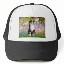 Aussie Shep 2 - Garden