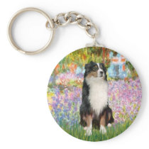 Aussie Shep 2 - Garden