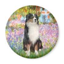 Aussie Shep 2 - Garden