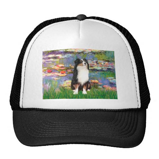 Aussie Shep 2 - Garden Mesh Hats
