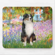 Aussie Shep 2 - Garden