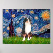 Aussie Shep (Tri2) - Starry Night