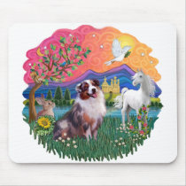 Aussie Shepherd (merle)