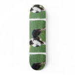 Aussie Shepherd  Skateboard