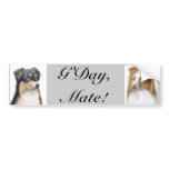 Aussie Shepherds Bumper Sticker