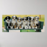 Aussie Wagon Fun Print