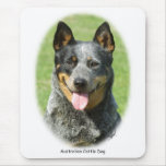 Aust Cattle Dog 9F059D-15 Mouse Mats