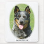 Aust Cattle Dog 9F059D-15 Mouse Mats