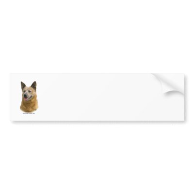 Aust Cattle Dog 9K009D-19 Bumper Stickers by TraffordPhotos