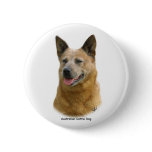 Aust Cattle Dog 9K009D-19 Button
