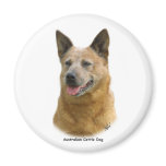 Aust Cattle Dog 9K009D-19 Fridge Magnet
