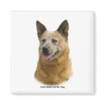 Aust Cattle Dog 9K009D-19 Fridge Magnet
