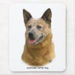Aust Cattle Dog 9K009D-19 Mouse Pad